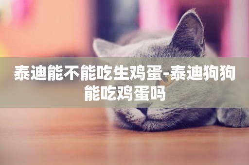 泰迪能不能吃生雞蛋-泰迪狗狗能吃雞蛋嗎