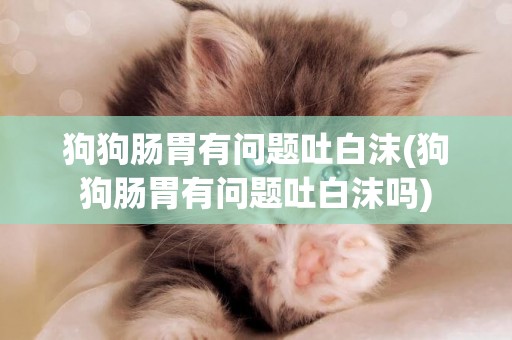 狗狗腸胃有問題吐白沫(狗狗腸胃有問題吐白沫嗎)