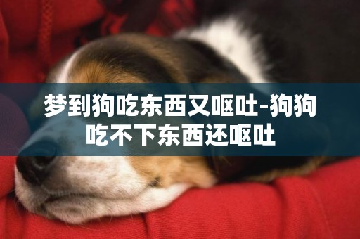 夢到狗吃東西又嘔吐-狗狗吃不下東西還嘔吐