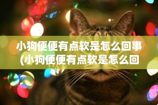 小狗便便有點軟是怎么回事(小狗便便有點軟是怎么回事吃什么藥)