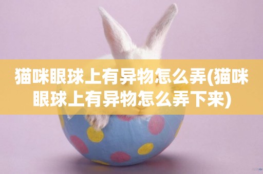 貓咪眼球上有異物怎么弄(貓咪眼球上有異物怎么弄下來)