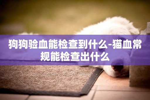 狗狗驗血能檢查到什么-貓血常規能檢查出什么