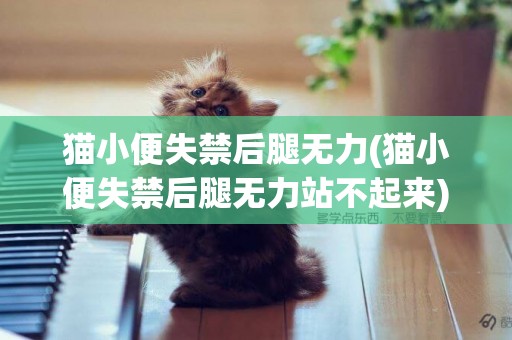 貓小便失禁后腿無力(貓小便失禁后腿無力站不起來)
