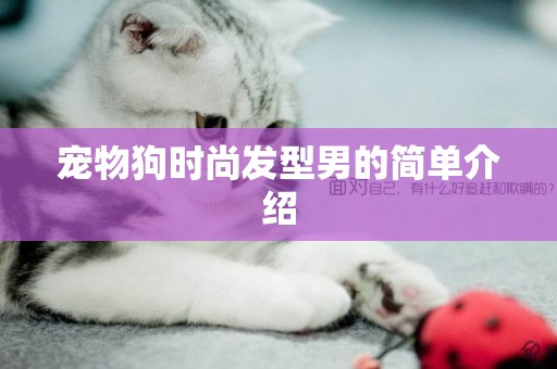 寵物狗時尚發型男的簡單介紹