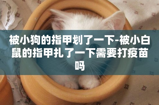 被小狗的指甲劃了一下-被小白鼠的指甲扎了一下需要打疫苗嗎