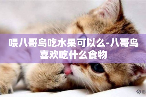喂八哥鳥吃水果可以么-八哥鳥喜歡吃什么食物