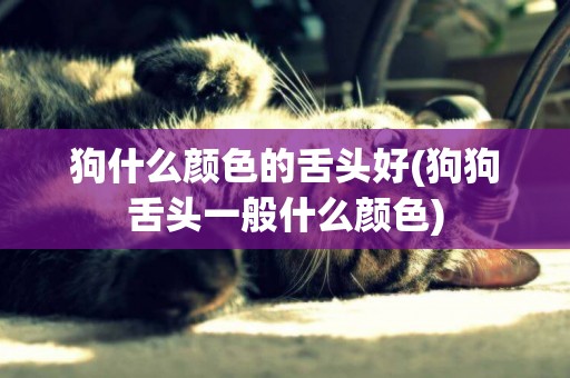 狗什么顏色的舌頭好(狗狗舌頭一般什么顏色)