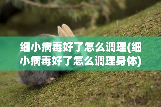 細小病毒好了怎么調理(細小病毒好了怎么調理身體)