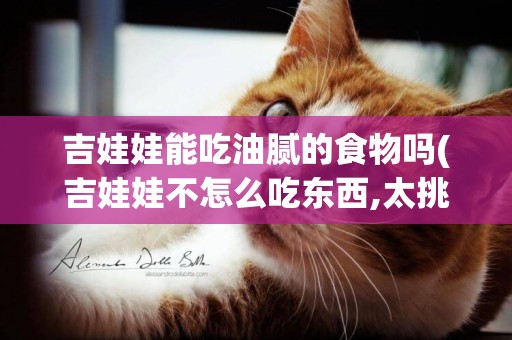 吉娃娃能吃油膩的食物嗎(吉娃娃不怎么吃東西,太挑食了)