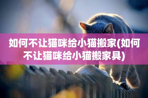 如何不讓貓咪給小貓搬家(如何不讓貓咪給小貓搬家具)