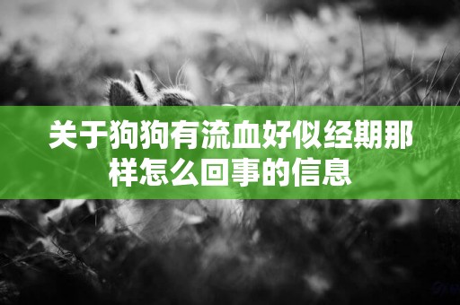 關于狗狗有流血好似經期那樣怎么回事的信息