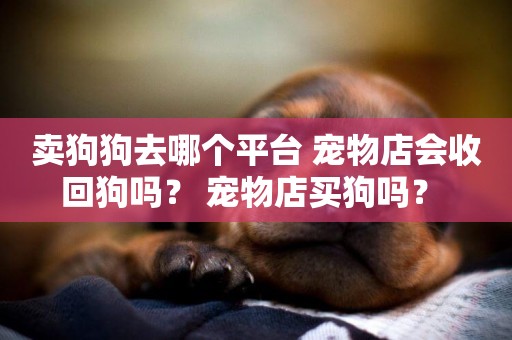 賣狗狗去哪個平臺 寵物店會收回狗嗎？ 寵物店買狗嗎？ 