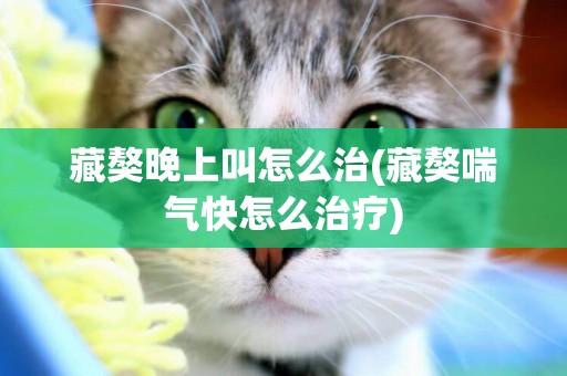藏獒晚上叫怎么治(藏獒喘氣快怎么治療)