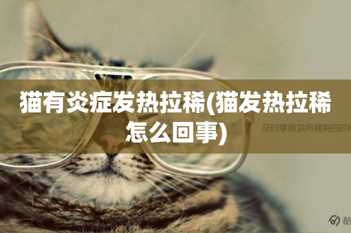 貓有炎癥發熱拉稀(貓發熱拉稀怎么回事)
