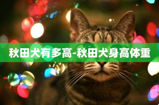 秋田犬有多高-秋田犬身高體重