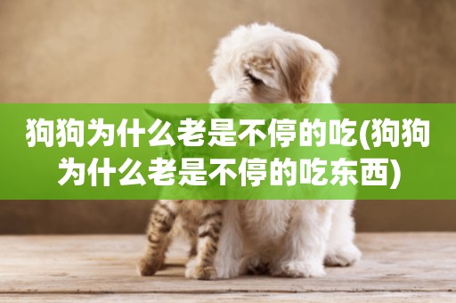狗狗為什么老是不停的吃(狗狗為什么老是不停的吃東西)