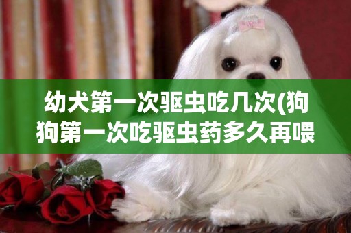 幼犬第一次驅蟲吃幾次(狗狗第一次吃驅蟲藥多久再喂一次)