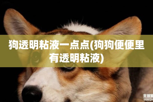 狗透明粘液一點點(狗狗便便里有透明粘液)