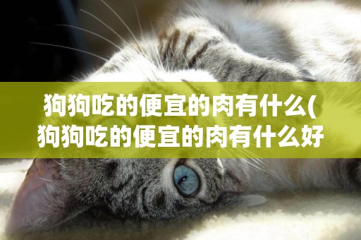 狗狗吃的便宜的肉有什么(狗狗吃的便宜的肉有什么好處)