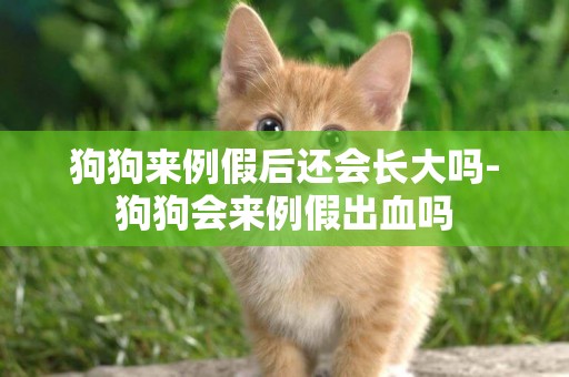 狗狗來例假后還會長大嗎-狗狗會來例假出血嗎