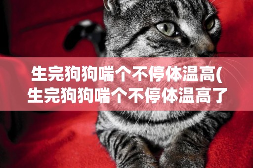 生完狗狗喘個不停體溫高(生完狗狗喘個不停體溫高了)