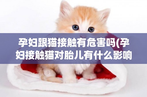 孕婦跟貓接觸有危害嗎(孕婦接觸貓對胎兒有什么影響)