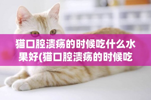 貓口腔潰瘍的時候吃什么水果好(貓口腔潰瘍的時候吃什么水果好呢)