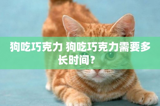 狗吃巧克力 狗吃巧克力需要多長時間？ 