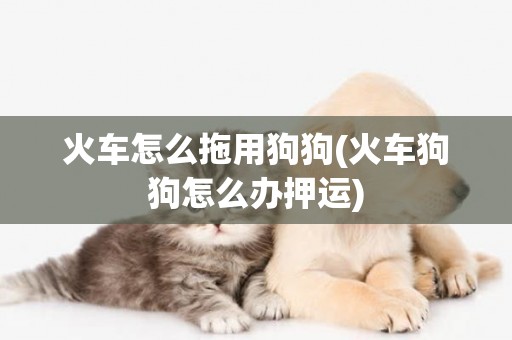 火車怎么拖用狗狗(火車狗狗怎么辦押運)