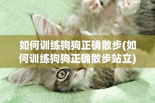 如何訓練狗狗正確散步(如何訓練狗狗正確散步站立)