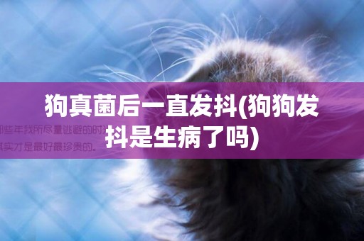 狗真菌后一直發抖(狗狗發抖是生病了嗎)