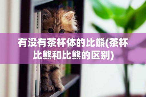 有沒有茶杯體的比熊(茶杯比熊和比熊的區別)