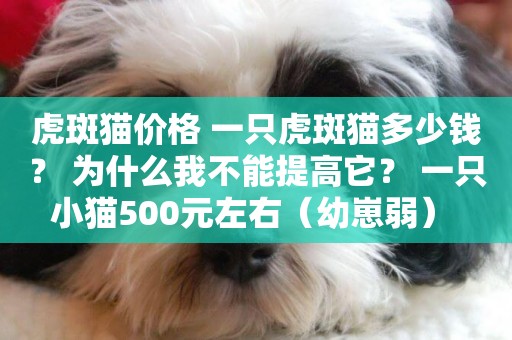 虎斑貓價格 一只虎斑貓多少錢？ 為什么我不能提高它？ 一只小貓500元左右（幼崽弱） 