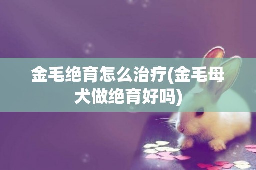 金毛絕育怎么治療(金毛母犬做絕育好嗎)