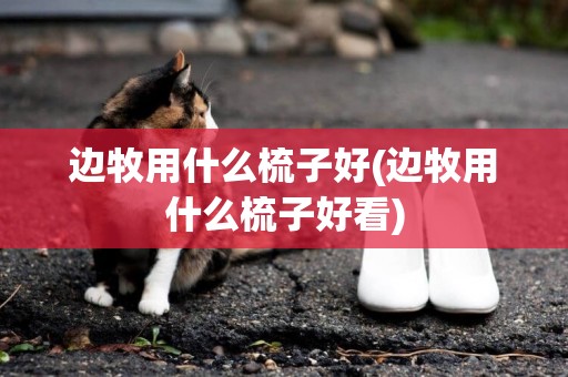 邊牧用什么梳子好(邊牧用什么梳子好看)