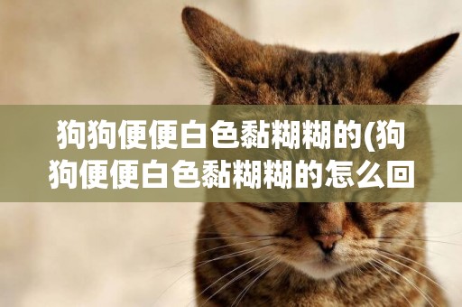 狗狗便便白色黏糊糊的(狗狗便便白色黏糊糊的怎么回事)
