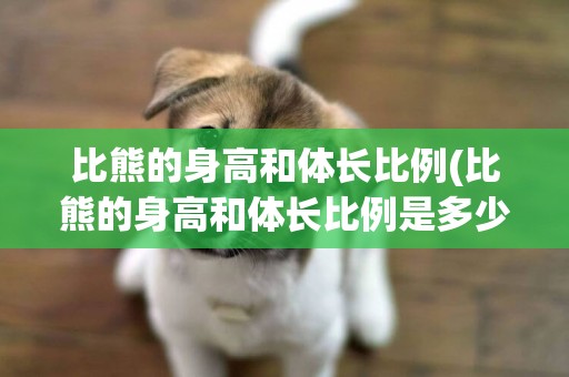 比熊的身高和體長比例(比熊的身高和體長比例是多少)