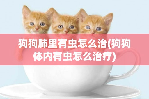 狗狗肺里有蟲怎么治(狗狗體內有蟲怎么治療)