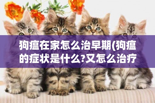 狗瘟在家怎么治早期(狗瘟的癥狀是什么?又怎么治療?)