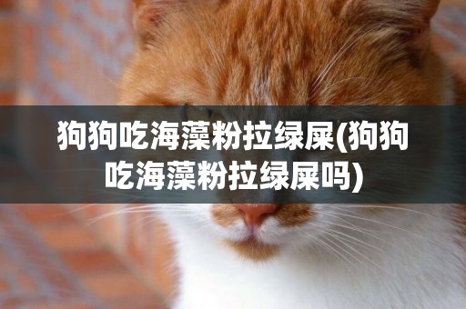 狗狗吃海藻粉拉綠屎(狗狗吃海藻粉拉綠屎嗎)