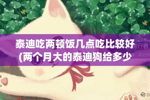 泰迪吃兩頓飯幾點吃比較好(兩個月大的泰迪狗給多少吃的一頓飯)