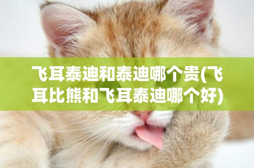 飛耳泰迪和泰迪哪個貴(飛耳比熊和飛耳泰迪哪個好)