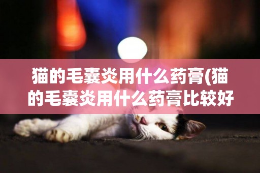 貓的毛囊炎用什么藥膏(貓的毛囊炎用什么藥膏比較好)