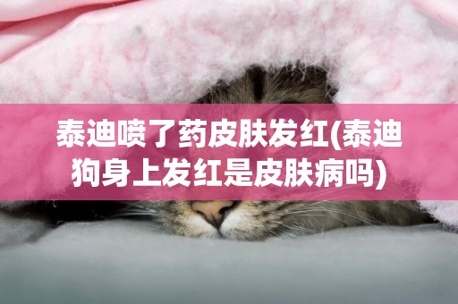 泰迪噴了藥皮膚發紅(泰迪狗身上發紅是皮膚病嗎)