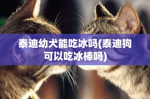 泰迪幼犬能吃冰嗎(泰迪狗可以吃冰棒嗎)