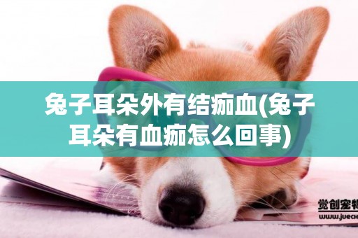 兔子耳朵外有結痂血(兔子耳朵有血痂怎么回事)