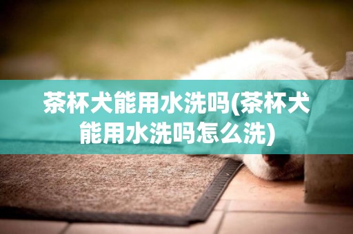 茶杯犬能用水洗嗎(茶杯犬能用水洗嗎怎么洗)