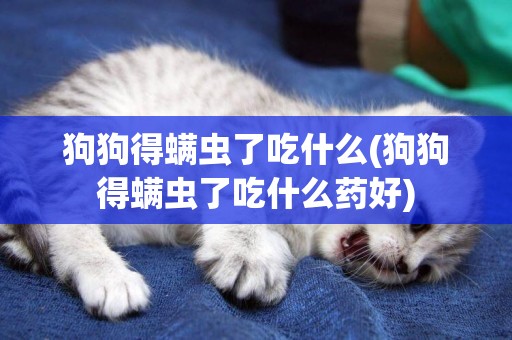狗狗得螨蟲了吃什么(狗狗得螨蟲了吃什么藥好)