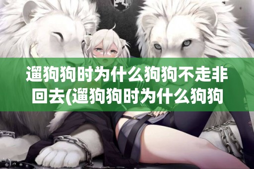 遛狗狗時為什么狗狗不走非回去(遛狗狗時為什么狗狗不走非回去拉屎)