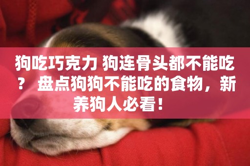 狗吃巧克力 狗連骨頭都不能吃？ 盤點狗狗不能吃的食物，新養狗人必看！ 